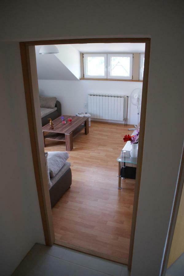 Apartman "Bogut" 슬루니 외부 사진